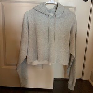 NWOT Urban outfitters grey cropped hoodie